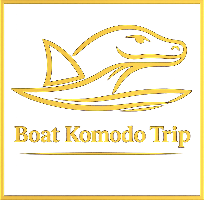 Boat Komodo Trip