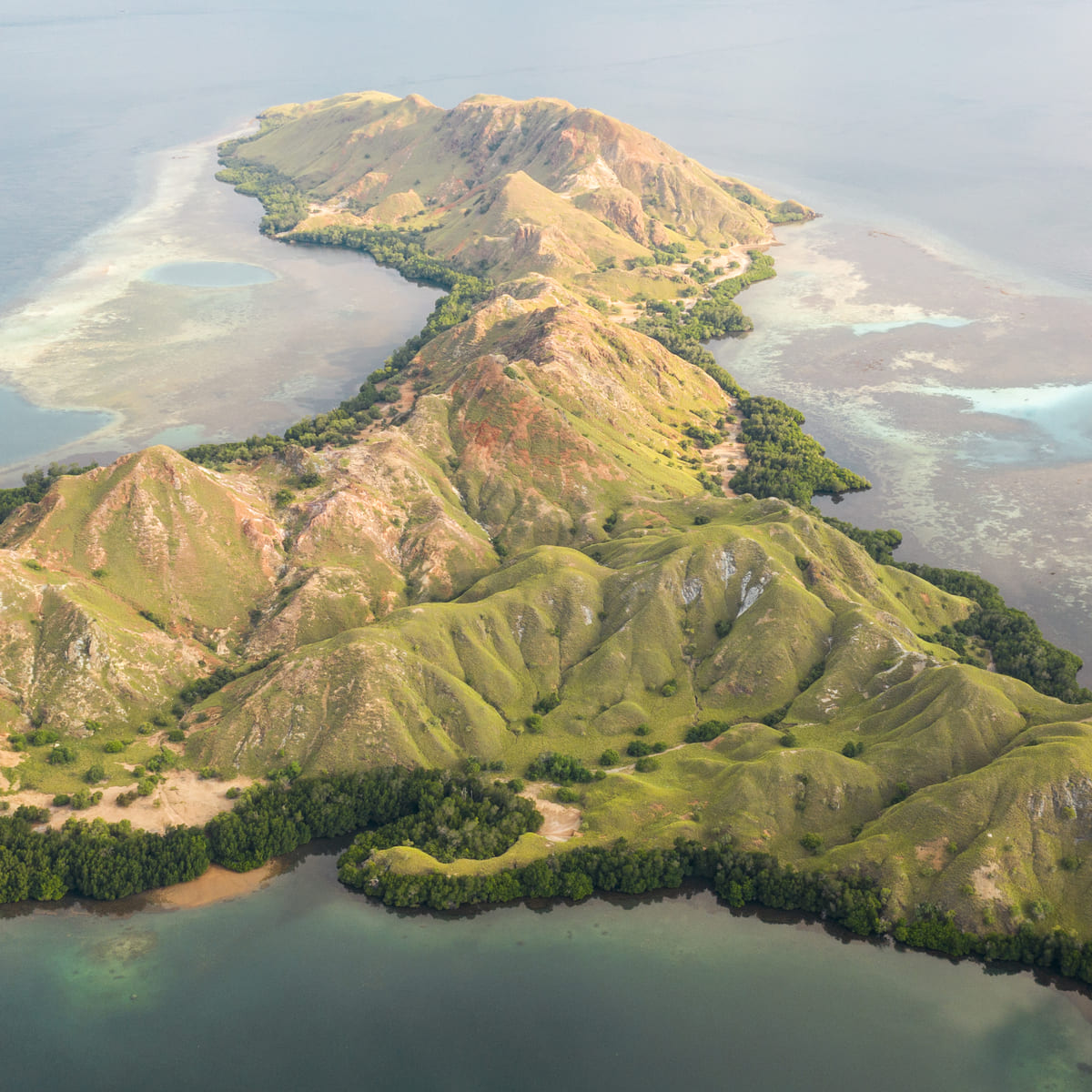 Siaba Island - Boat Komodo Trip