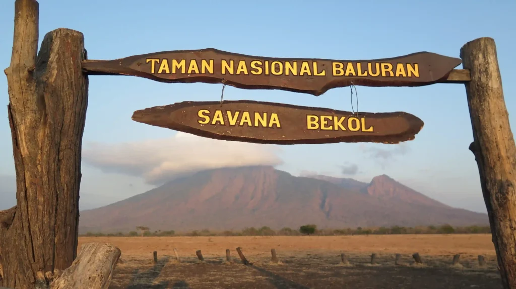 Baluran National Park (source: wikimedia)
