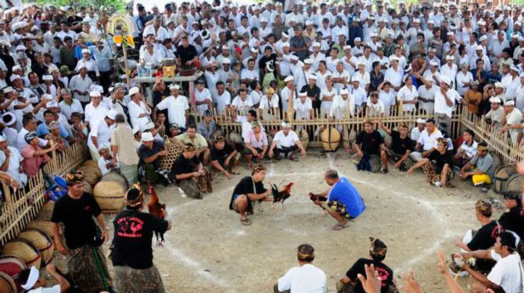 10 Fun Facts About Bali That Will Fascinate You & Want To Visit Soon