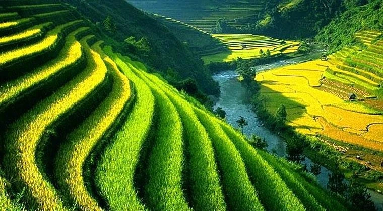 10 Fun Facts About Bali That Will Fascinate You & Want To Visit Soon