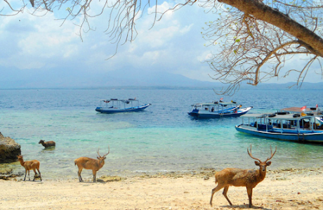 Bali has other small islands