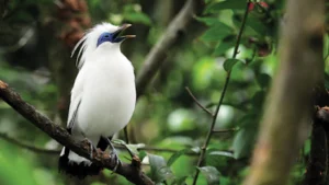 Tourists Have Not to Explore Many Places Yet