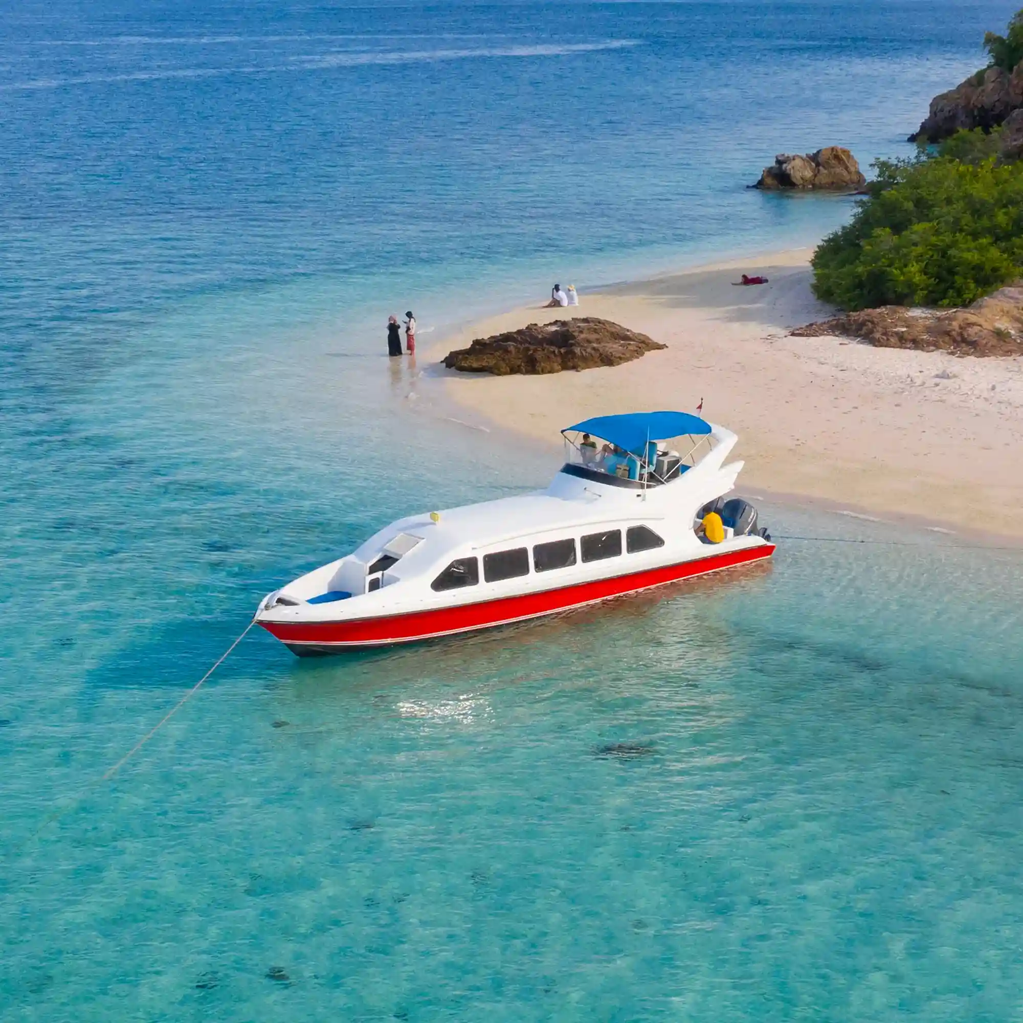 D1 Speedboat Charter Komodo One Day Trip