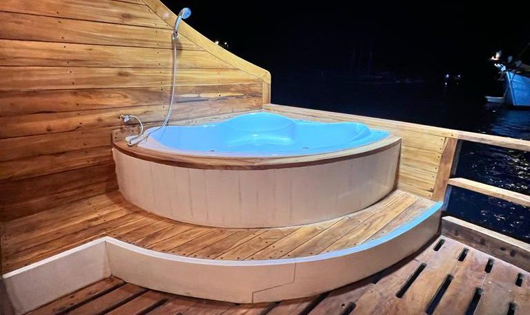 Suite Ocean View Cabin - Image 2