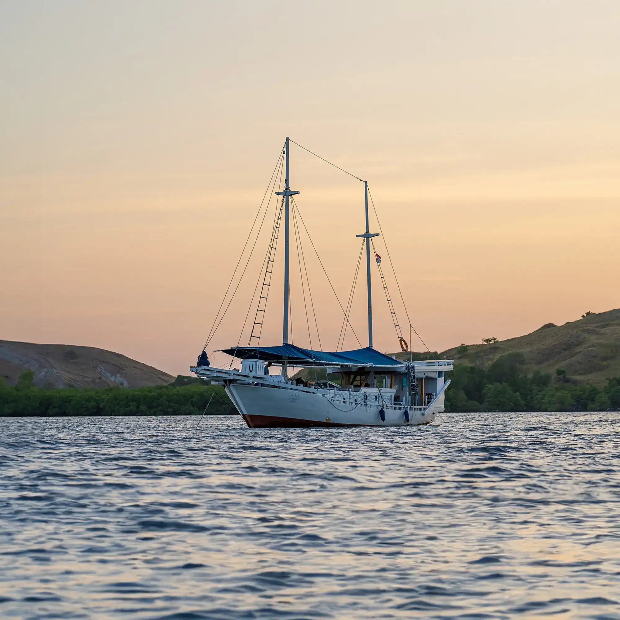 Jinggo Janggo Phinisi Charter in Komodo