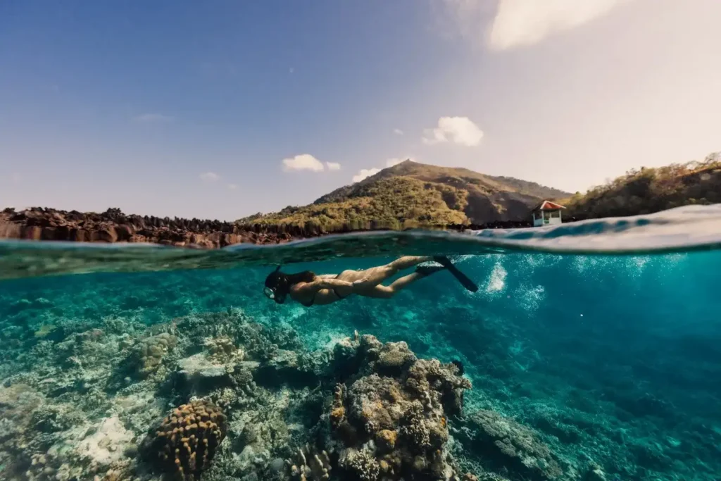 Snorkeling at Manjarite Island | Komodo Island tour | Boat Komodo Trip
