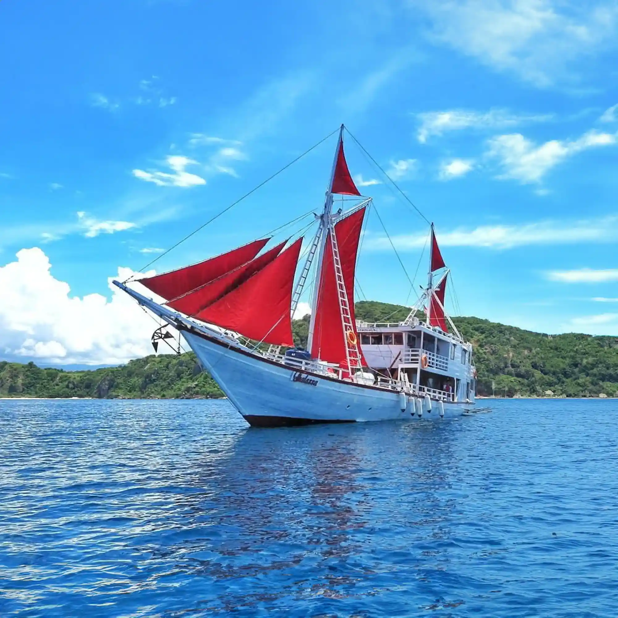 Thalassa 1: Unforgettable Komodo Adventures