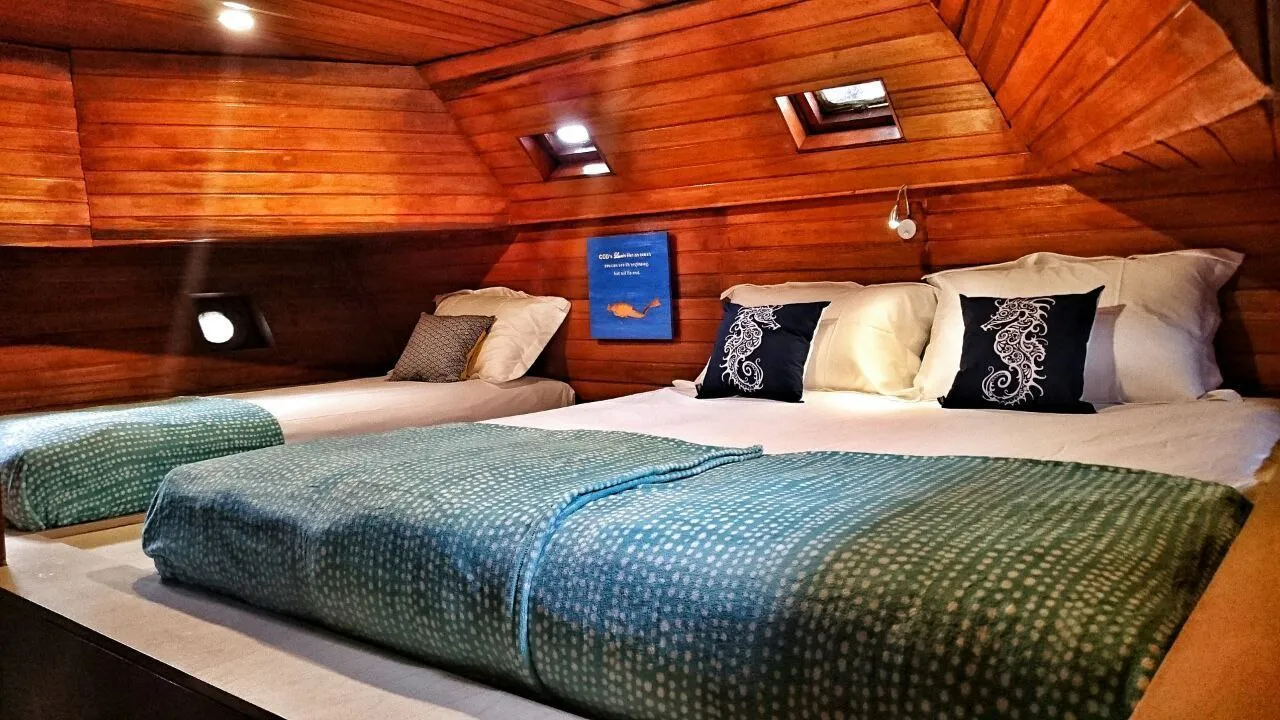 Diver Room (Sharing Cabin) - Image 1