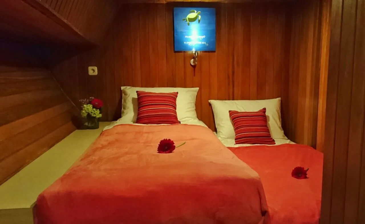 Octopus & Turtle (Private Cabin) - Image 1