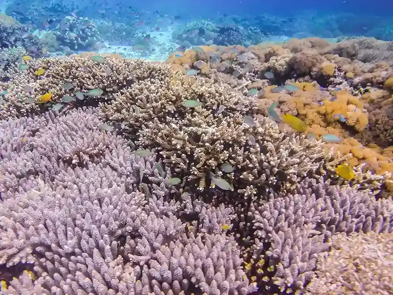 Day 2: Explore Mt. Sangeang Island