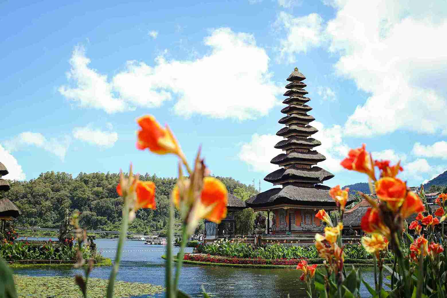 11 Destinasi Wisata Ekoturisme di Bali yang Wajib Dikunjungi
