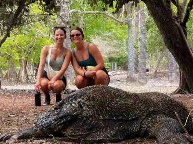 Pasar suvenir lokal di Pulau Komodo