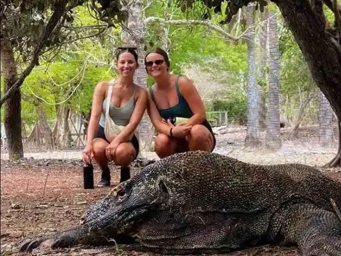 Komodo National Park