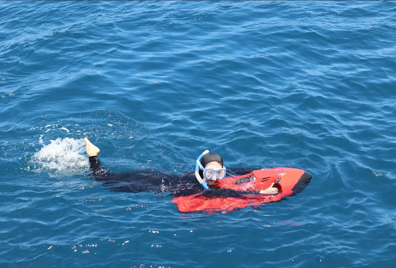 Leticia Cruise Liveboard - BoatKomodoTrip