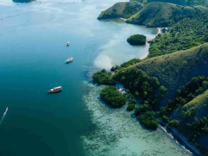 Cara Menjadi Ekowisatawan di Taman Nasional Komodo