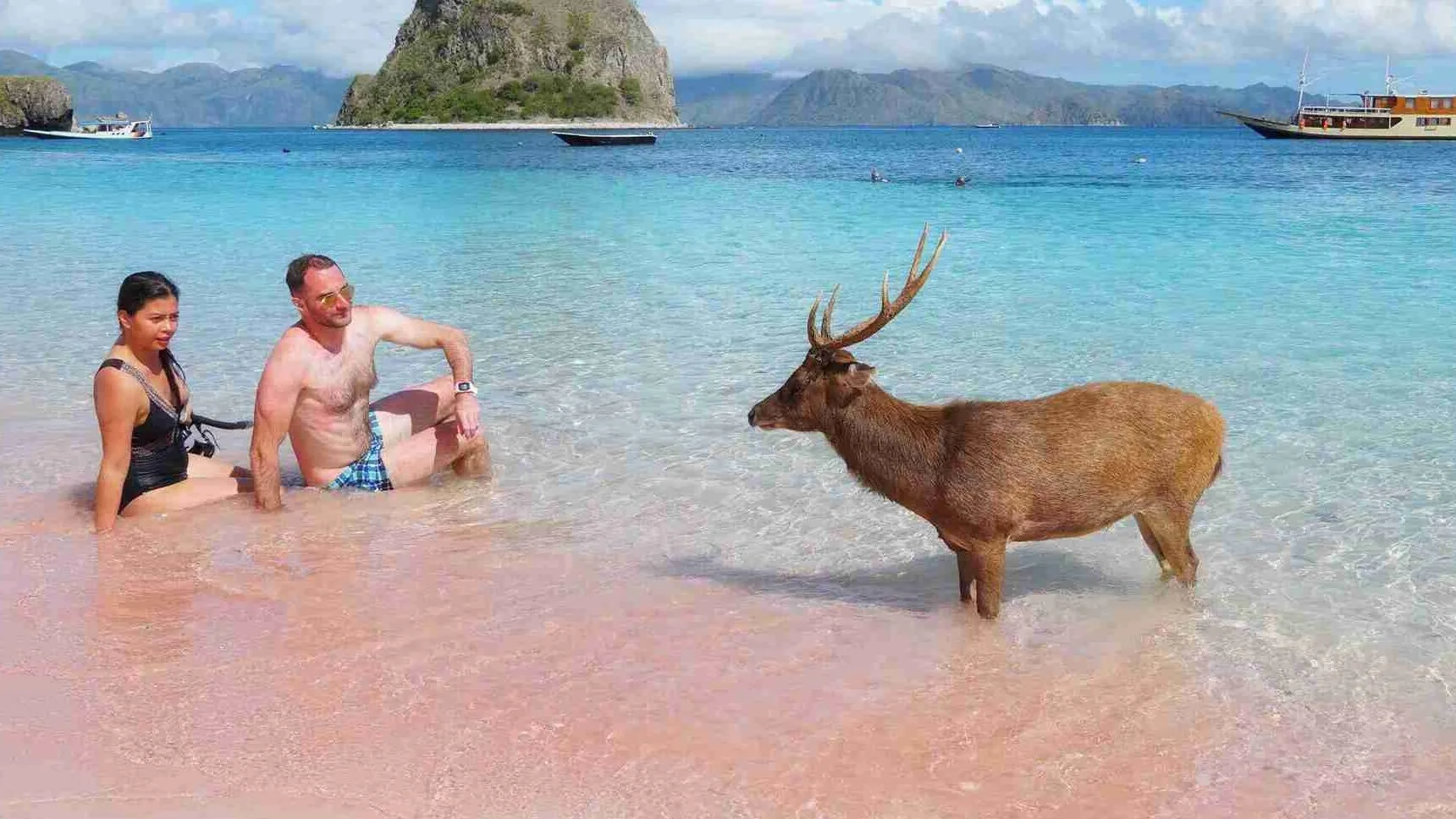 Pink Beach Destination