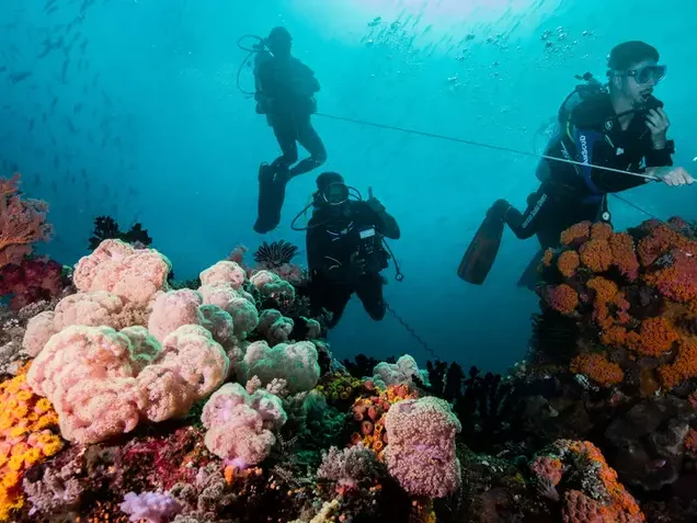 Raja Ampat Diving
