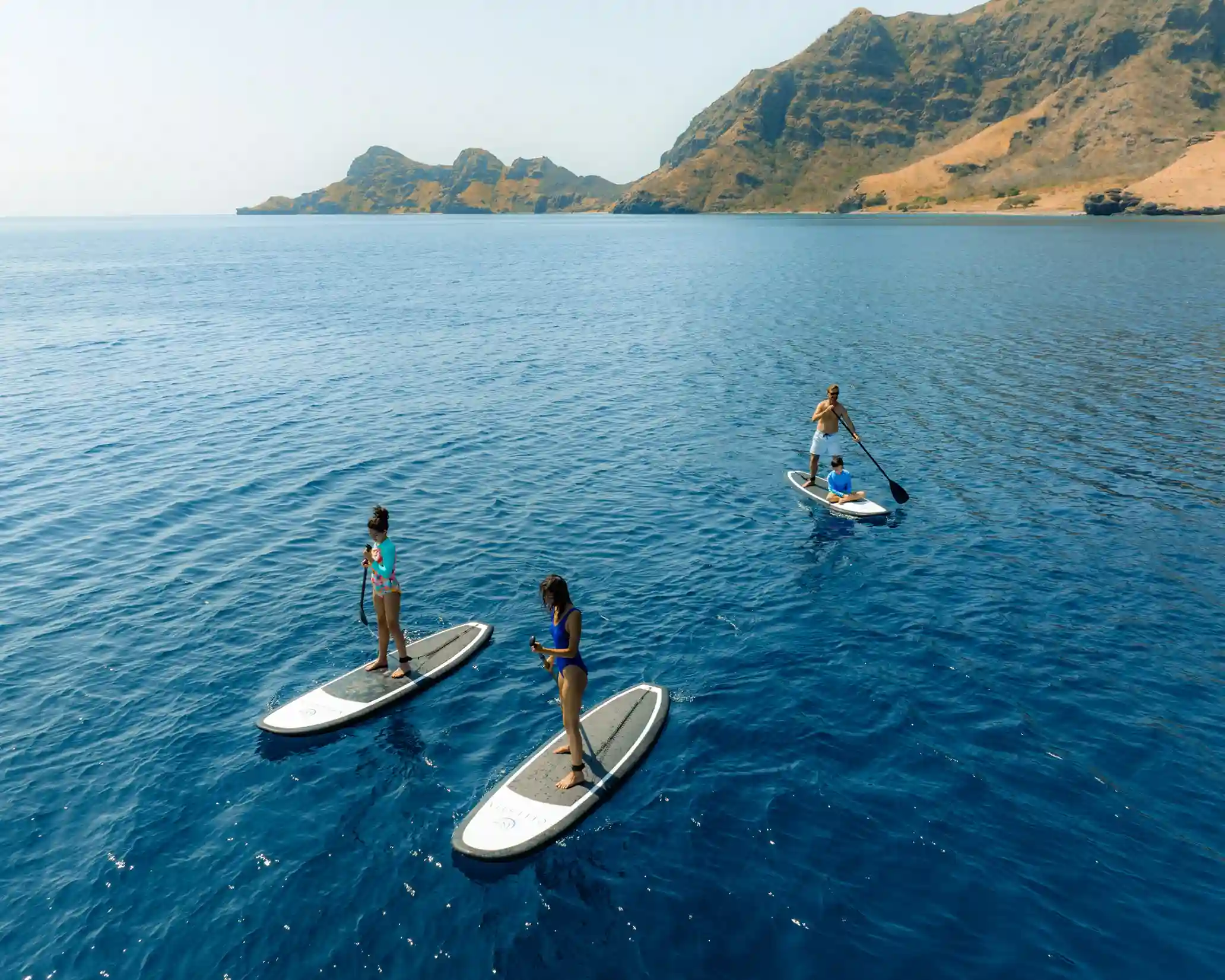 Activities Celestia | Komodo Tour | Komodo Island Tour | Boat Komodo Trip