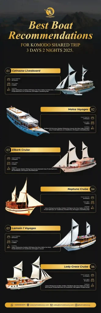 Best Komodo 3D2N Shared Trip Highlights Infographic 2025 | Boat Komodo Trip