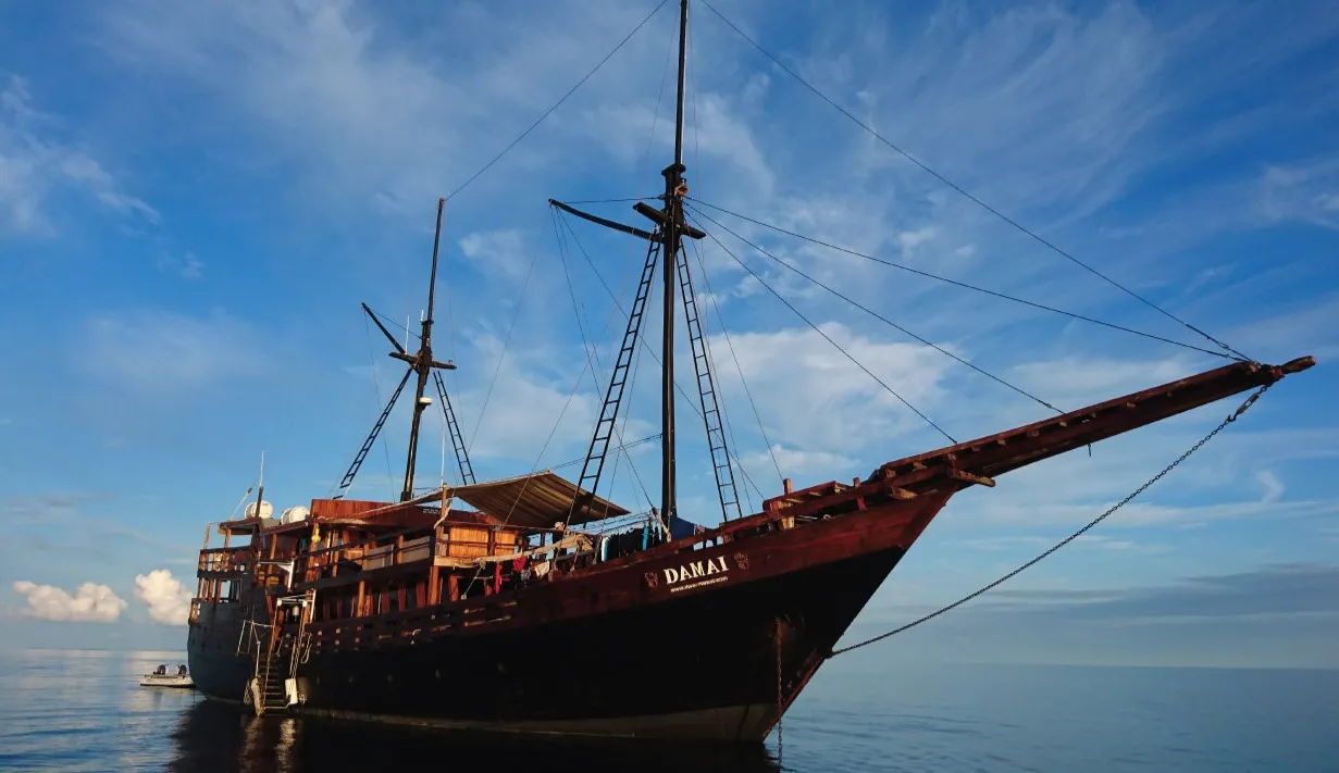 Damai 1 Liveaboard by BoatKomodoTrip