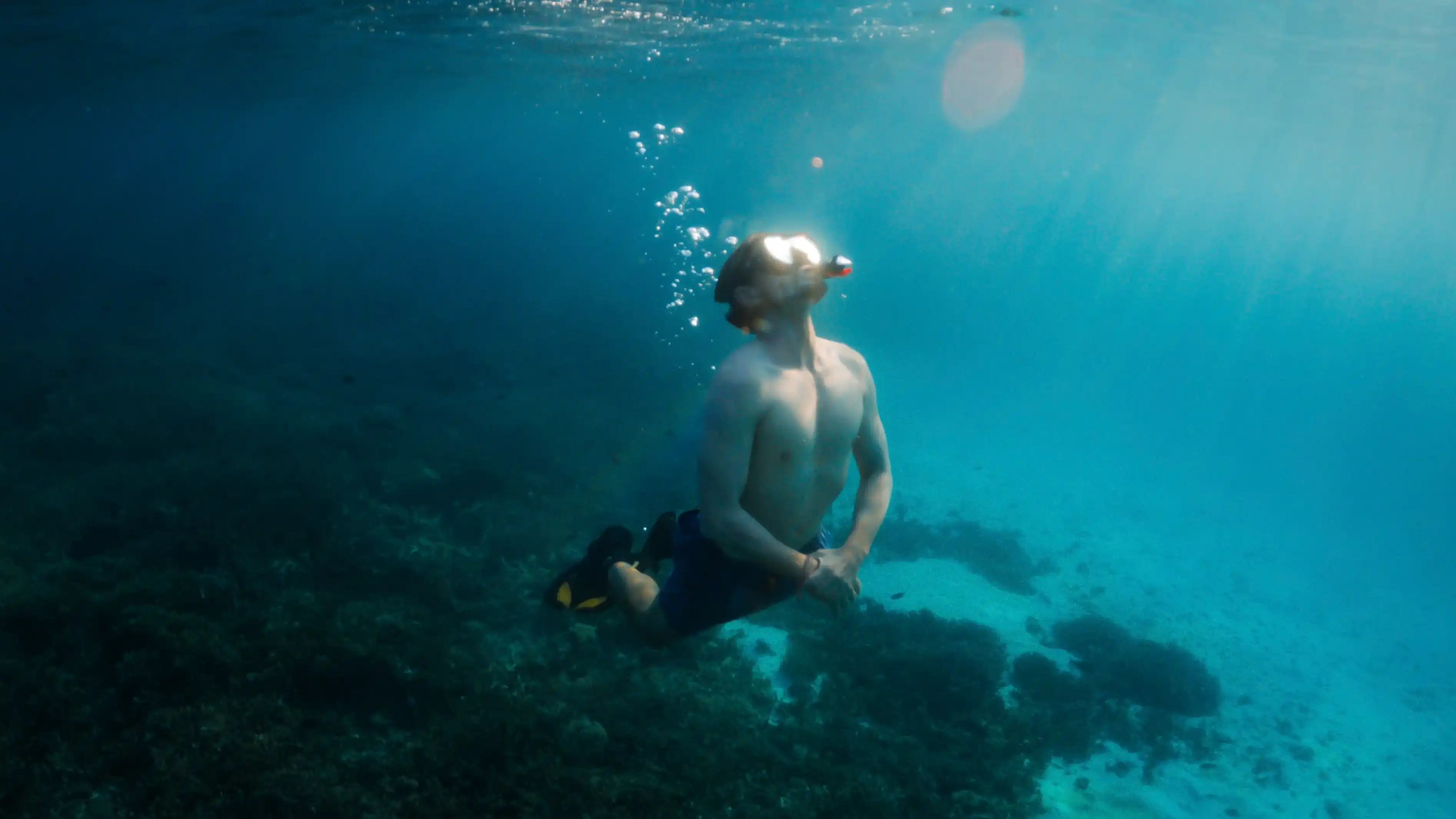 Activities Underwater Celestia | Komodo Tour | Komodo Island Tour | Boat Komodo Trip