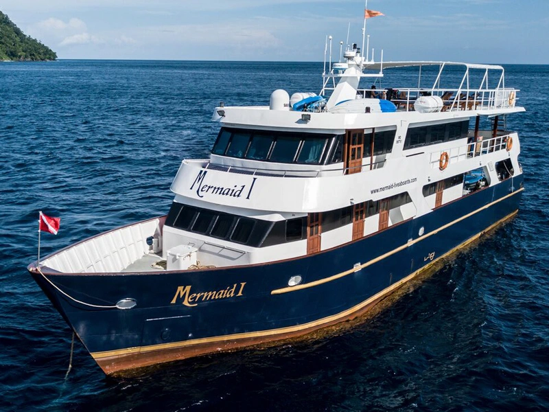 Mermaid I Cruise Voyage Phinisi | Raja Ampat | Boat Komodo Trip