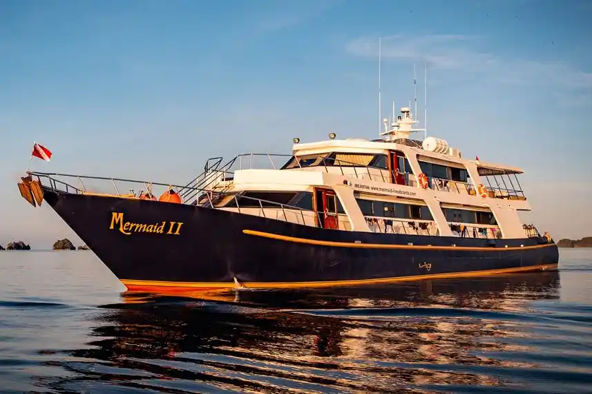 Mermaid II Cruise Phinisi Liveaboard by Boat Komodo Trip