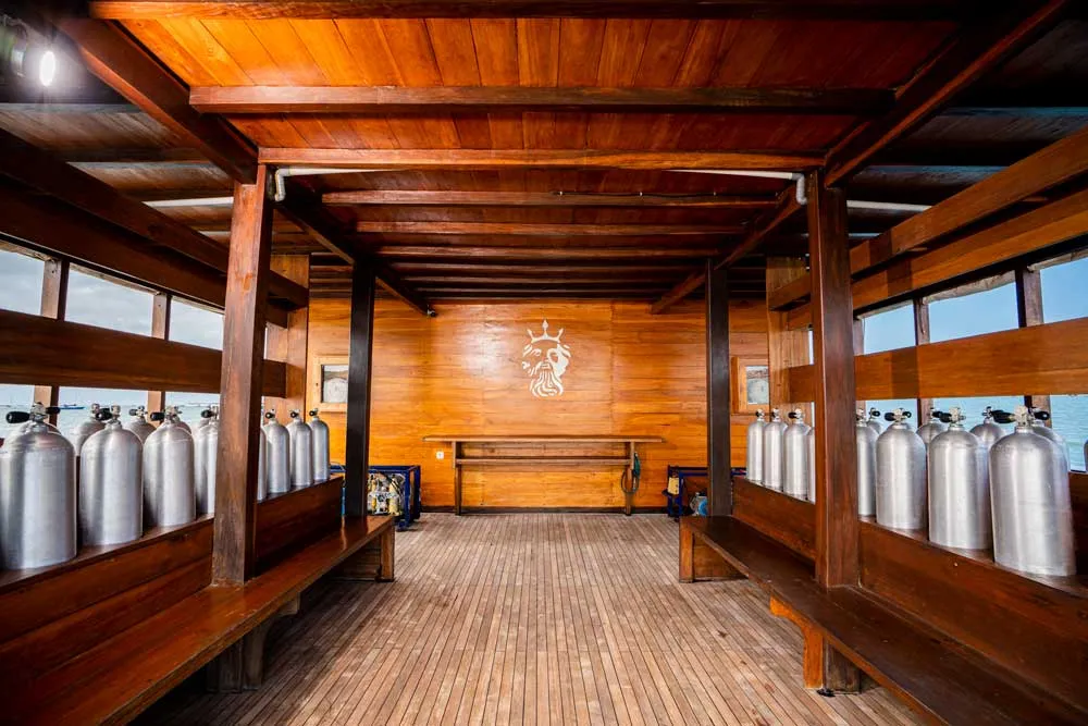 One Dive Deck on Neptune One Cruise Voyage Phinisi | Raja Ampat | Boat Komodo Trip