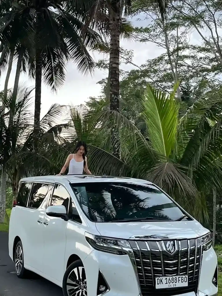 My Komodo Island Tour Review: Choosing the Best Tour Operator