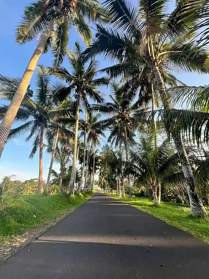 My Komodo Island Tour Review: Choosing the Best Tour Operator