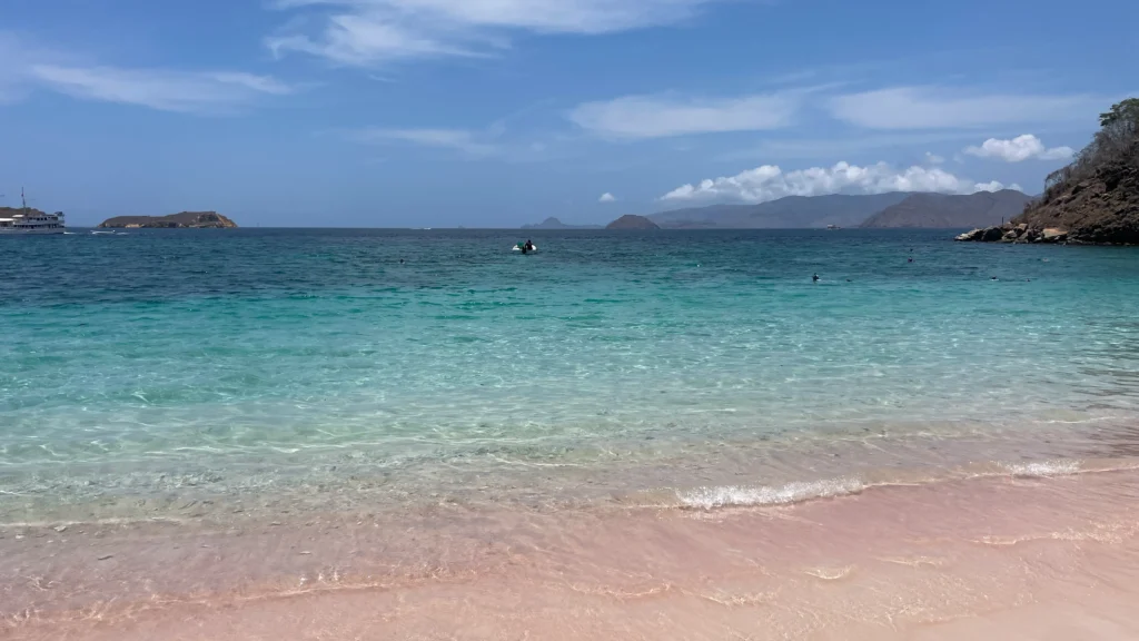 Pink Beach | Komodo National Park | Komodo tour by Boat Komodo Trip