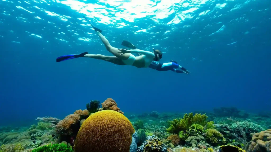 Luxury Hotels in Komodo Island: 5-Star Resorts for the Ultimate Stay