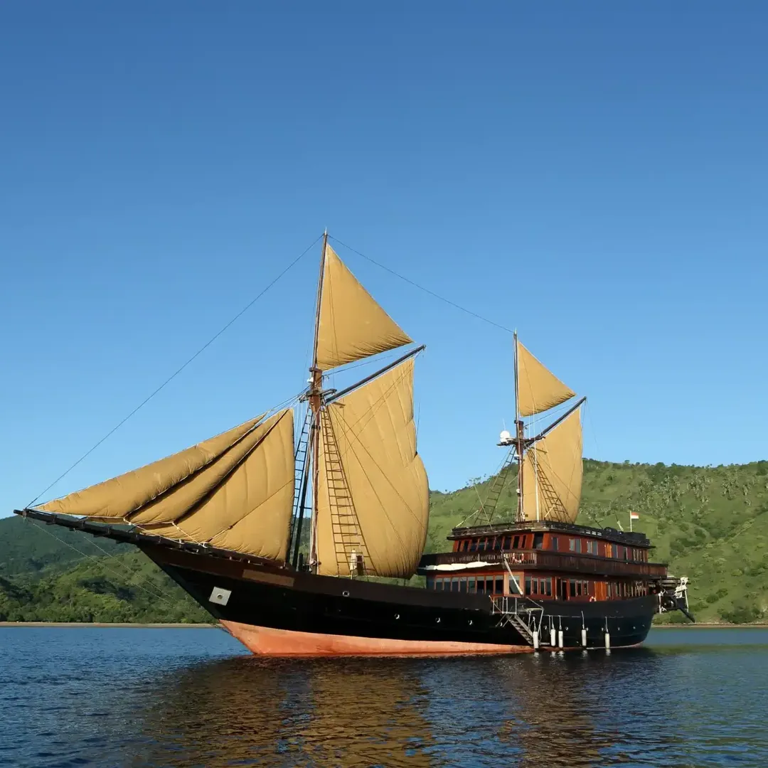 Alila Purnama Phinisi Boat Charter | Komodo Island Tour