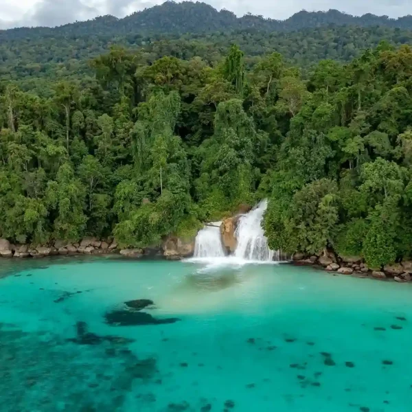 Paket Liveaboard Triton Bay Kaimana 12 Hari 11 Malam