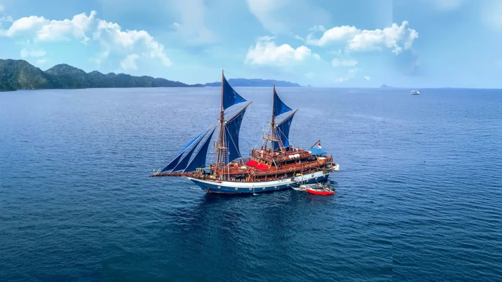 Sea Safari 8 Liveaboard Phinisi Cruise Boat Charter | Boat Komodo Trip