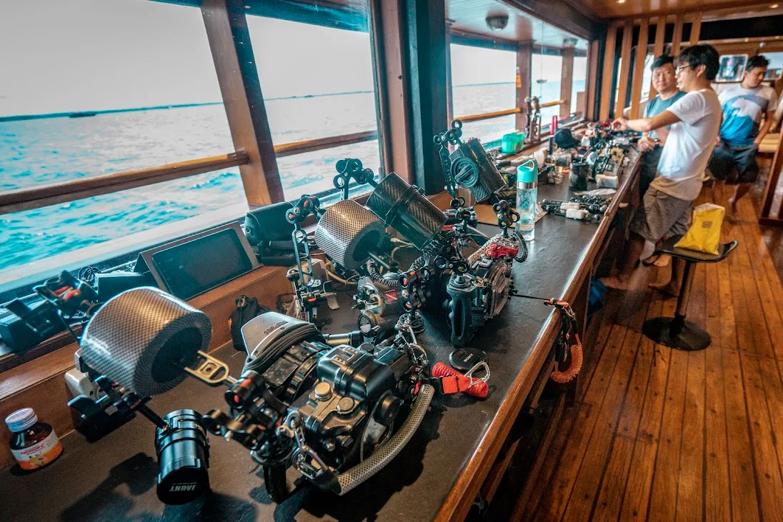 Sea Safari 8 Liveaboard | Boat Komodo Trip