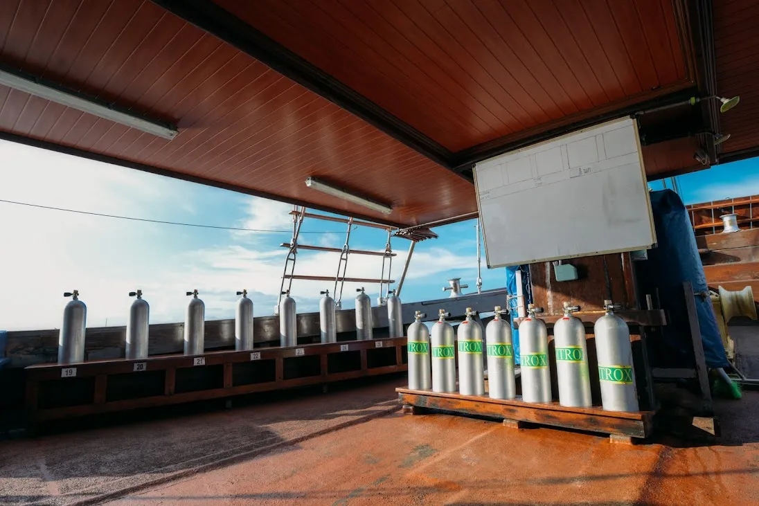 Sea Safari 8 Liveaboard | Boat Komodo Trip