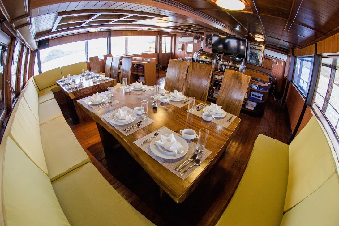 Sea safari 6 indoor daning area