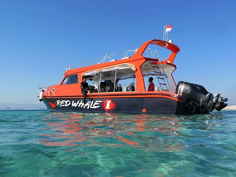 redwhale-fastest-speedboat-labuan-bajo-760×570