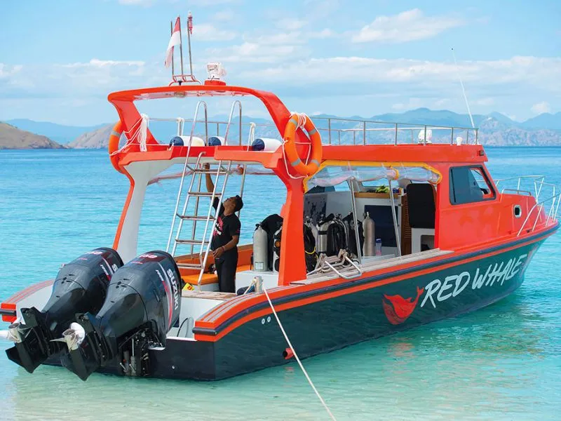 redwhale-speedboat-komodo-dive-center-800×600