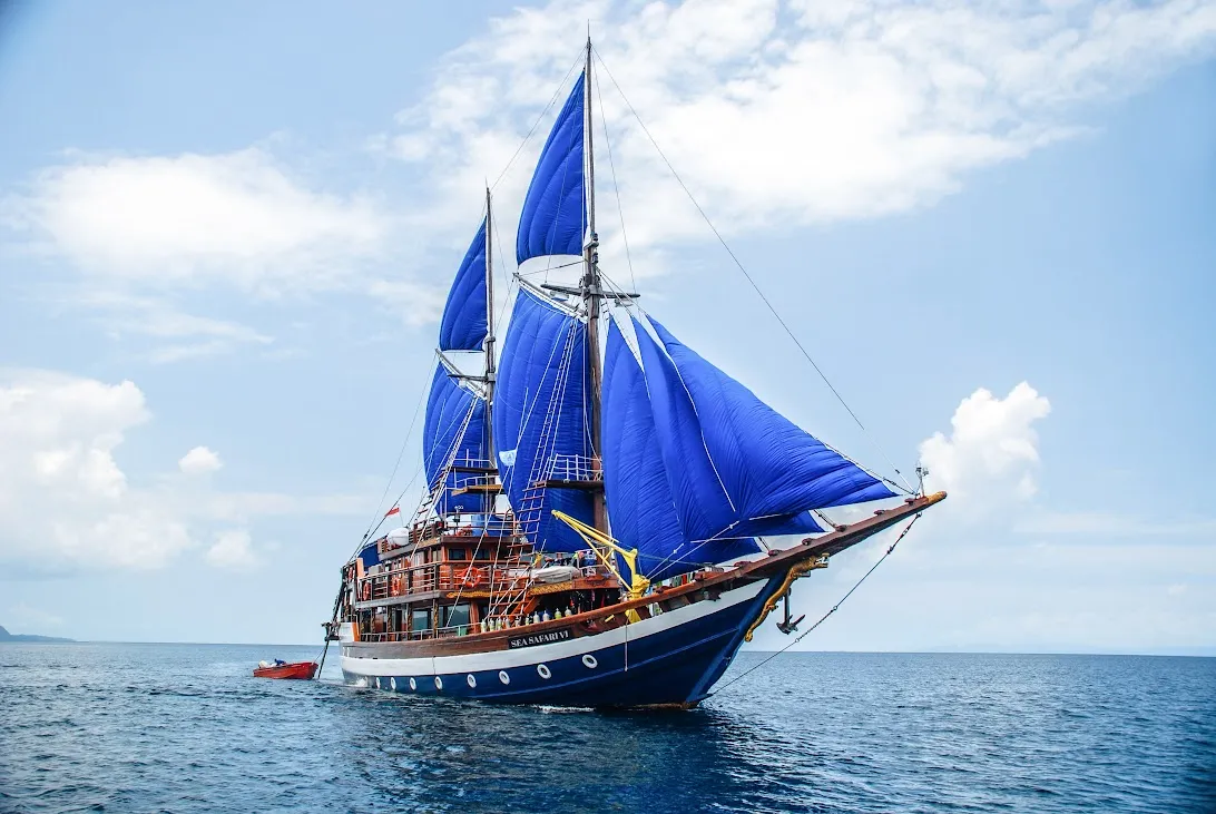 sea safari 6 exterior 2