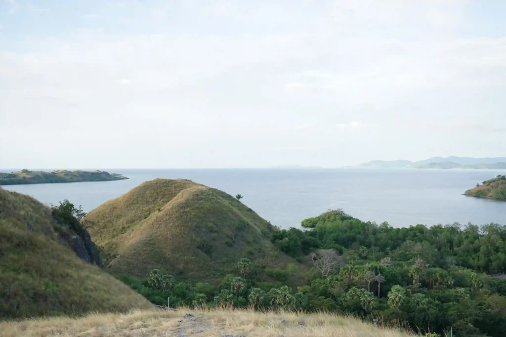Sylvia Hill | Boat Komodo Trip