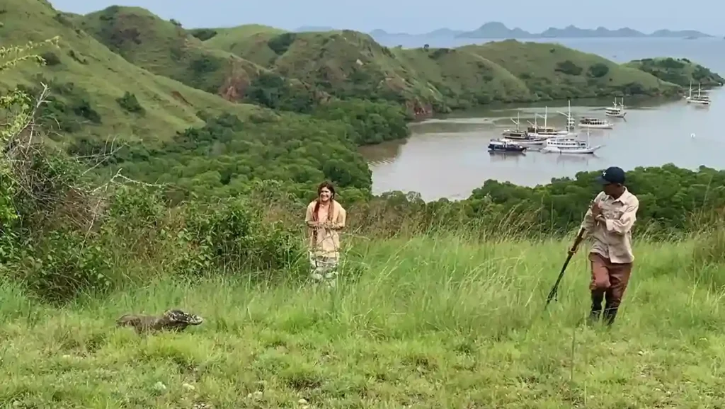 Komodo at Rinca Island | Rinca Tour | Boat Komodo Trip