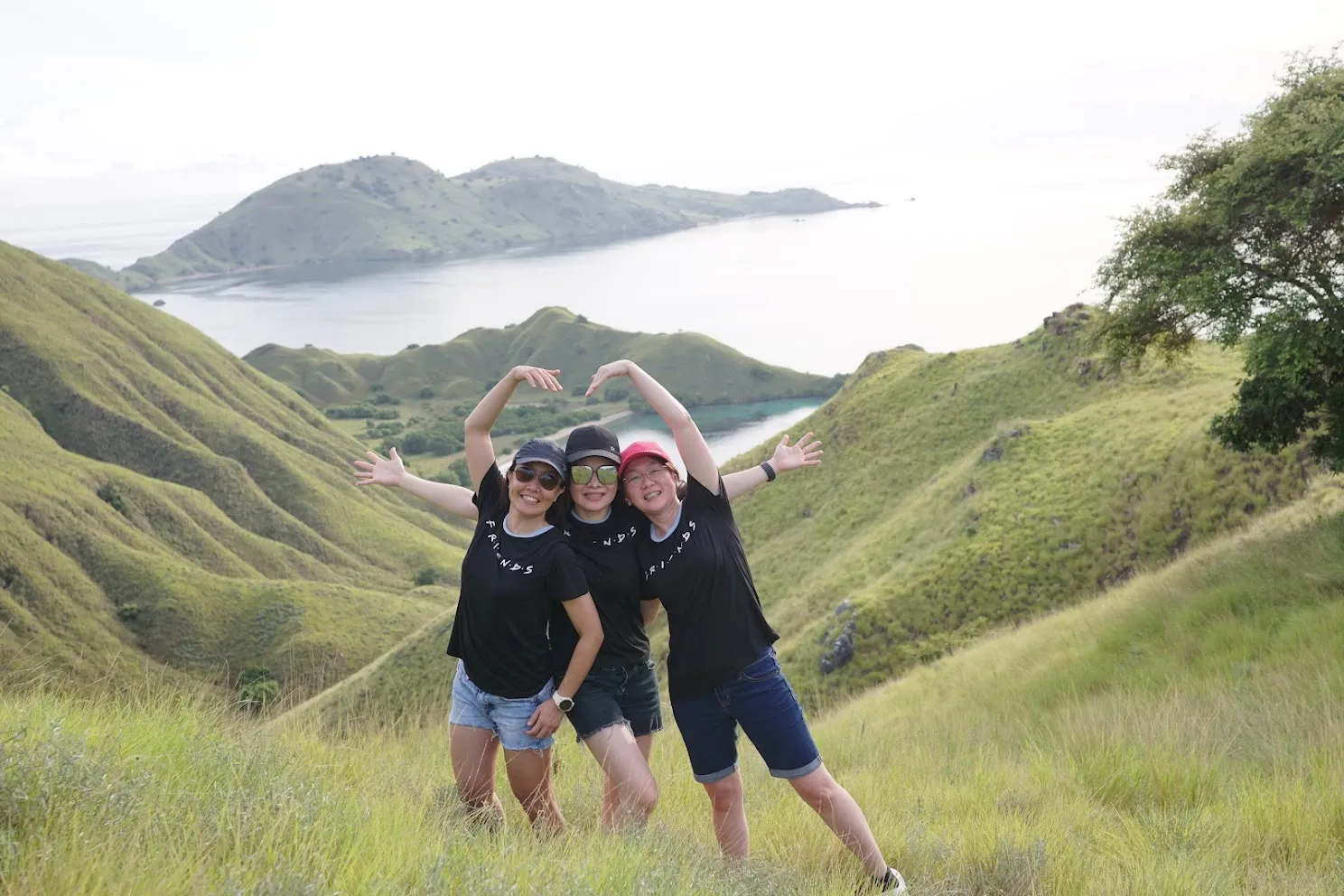 Pinta Phinisi| Komodo National Park | Boat Komodo Trip