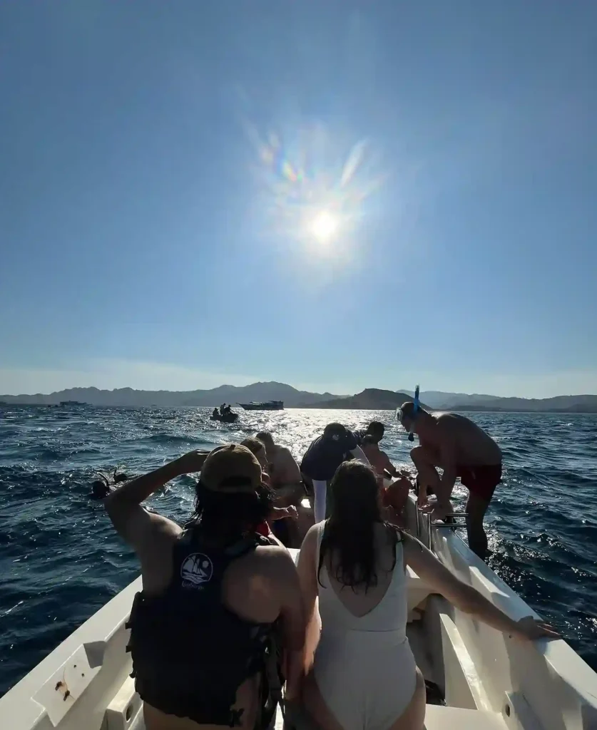 Komodo Island Tour Review | Eduard Fernando