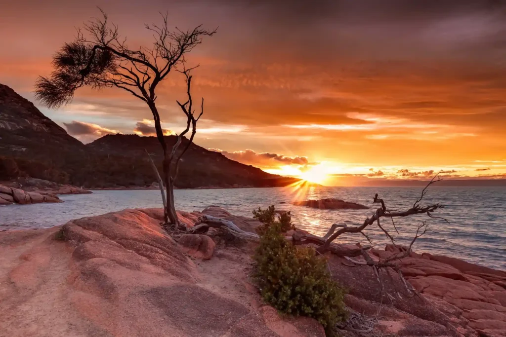 Sunset in Tasmania (Source by Goodfon)