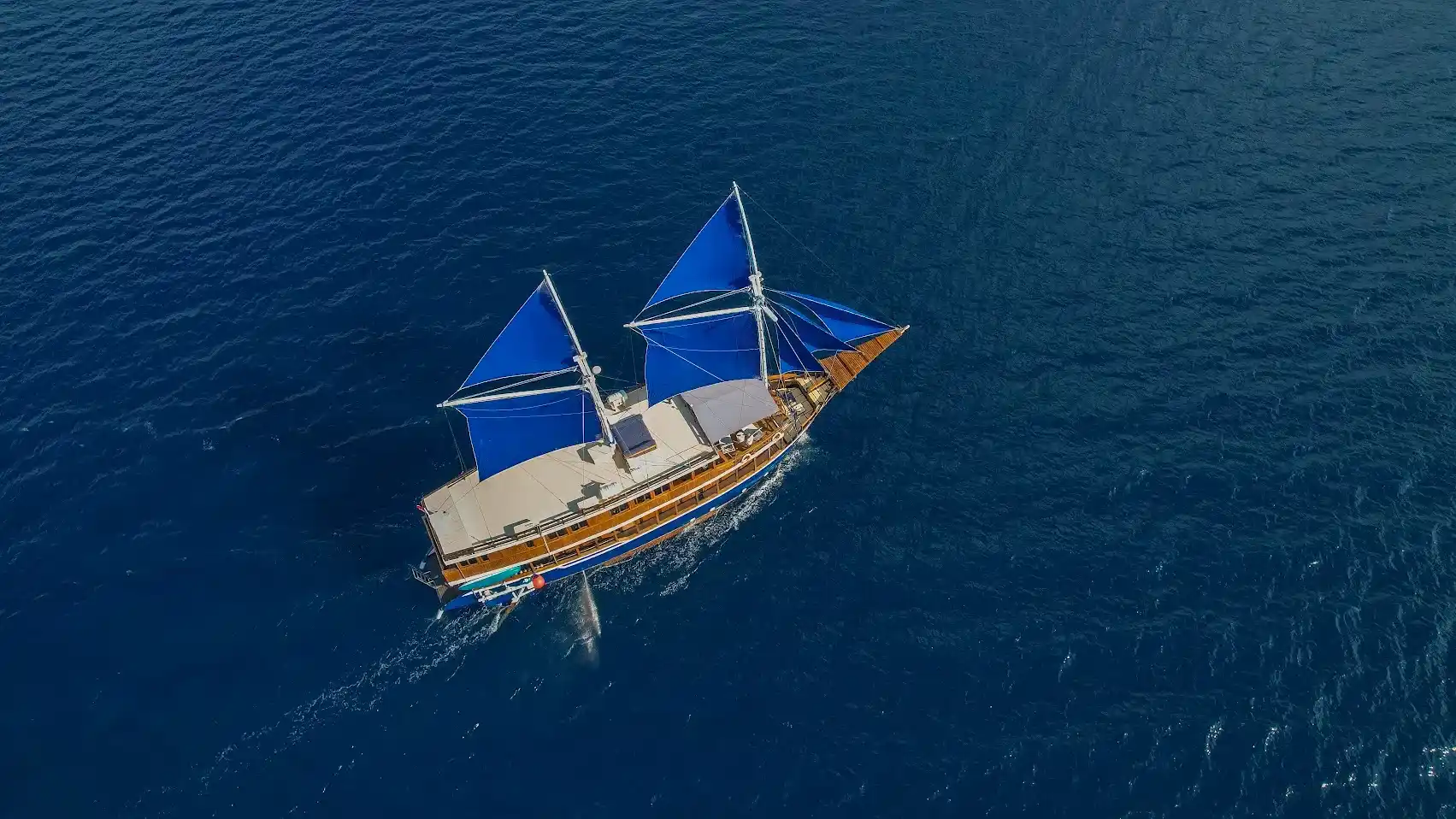 Cajoma V Phinisi Boat Charter | Liveaboard | Komodo Tour | Boat Komodo Trip