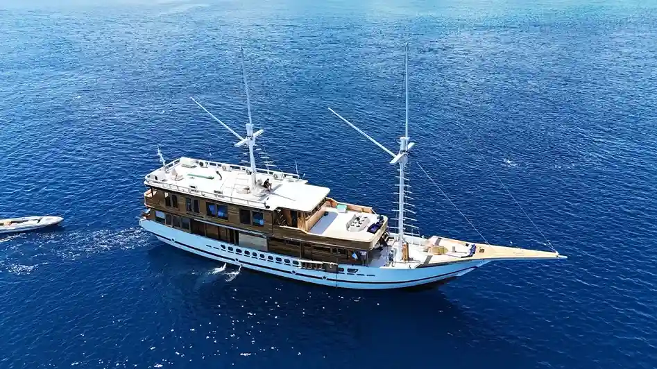 Raffles Cruise – Komodo Tour1