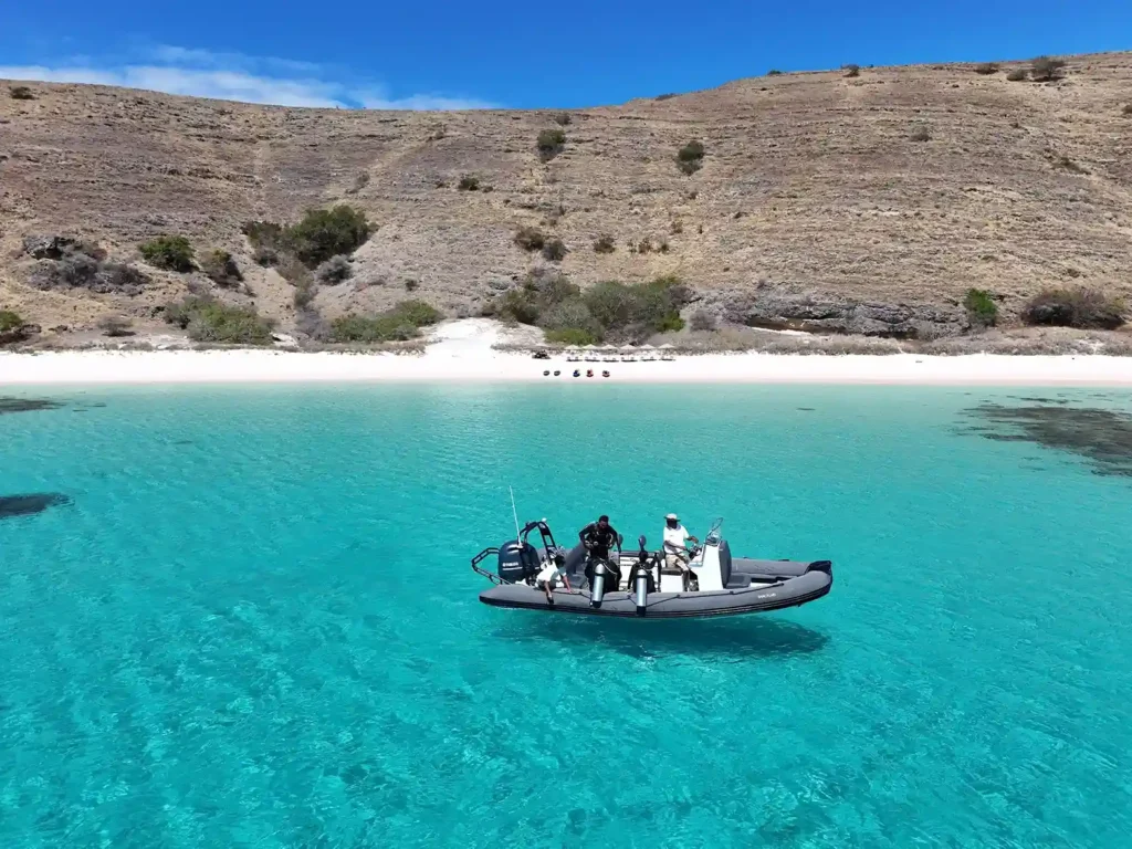 Luxury Diving Yacht Experience in Komodo | Boat Komodo Trip